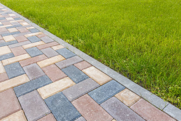 Best Driveway Paving Contractor  in Genesee, CO